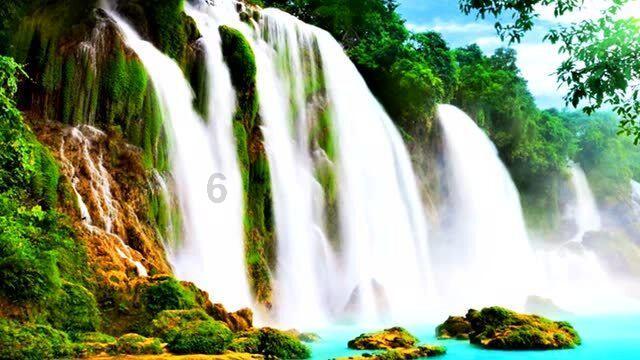 探讨交流,畅谈心声——植物怎么浇水?问答平台